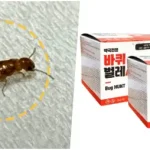 외래 흰개미 퇴치 방법 9가지 최근에는 서울 강남구 논현동의 한 주택에서 흰개미가 발견되었습니다. 이 흰개미는 마른나무를 갉아먹는 외래종인 '마른나무흰개미과 크립톨미스속'에 속한다고 잠정적으로 확인되었으며, 흰개미 퇴치 방법 9가지에 대해 알아보겠습니다.