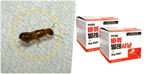 최근에는 서울 강남구 논현동의 한 주택에서 흰개미가 발견되었습니다. 이 흰개미는 마른나무를 갉아먹는 외래종인 '마른나무흰개미과 크립톨미스속'에 속한다고 잠정적으로 확인되었으며, 흰개미 퇴치 방법 9가지에 대해 알아보겠습니다.